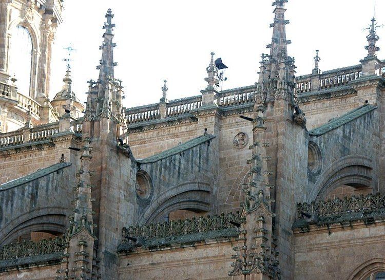 Old Cathedral of Salamanca Images of the Cathedrals Salamanca