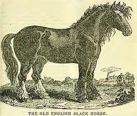 Old English Black httpsuploadwikimediaorgwikipediacommonsthu