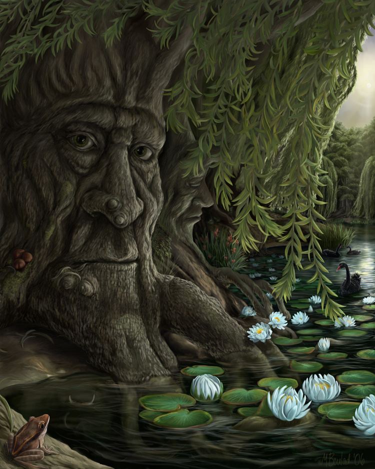 Old Man Willow Old Man Willow by MBoulad on DeviantArt