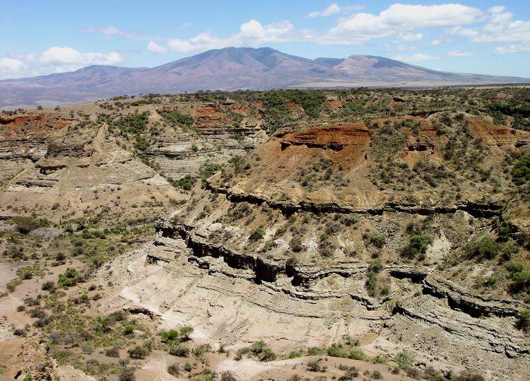 Olduvai Gorge Geochemical fingerprints for Olduvai Gorge Bed II tuffs and