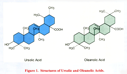 Oleanolic acid ORGANIC SPECTROSCOPY INTERNATIONAL Oleanolic acid spectral data and
