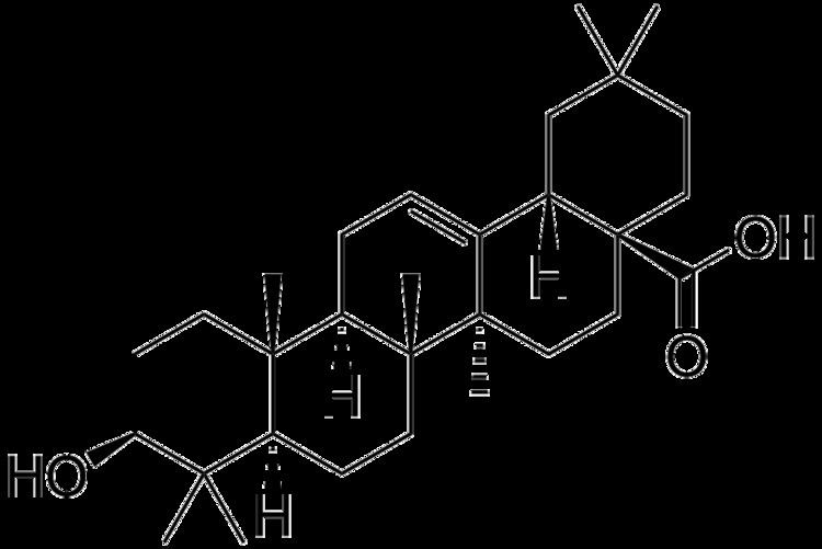 Oleanolic acid httpsuploadwikimediaorgwikipediacommonscc