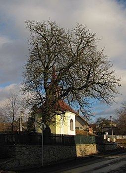 Olešná (Havlíčkův Brod District) httpsuploadwikimediaorgwikipediacommonsthu