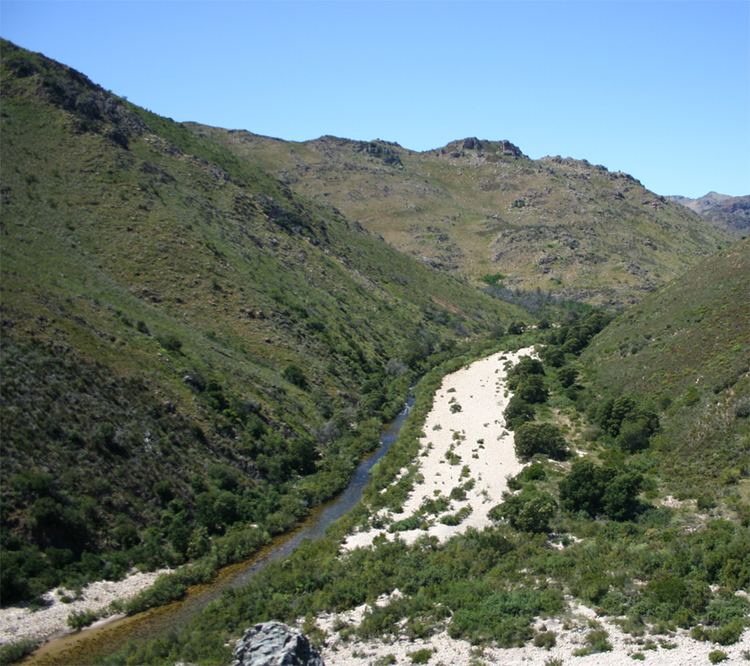 Olifants River (Western Cape) httpsuploadwikimediaorgwikipediacommonsee
