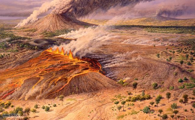 Oligocene BBC Nature Oligocene epoch videos news and facts
