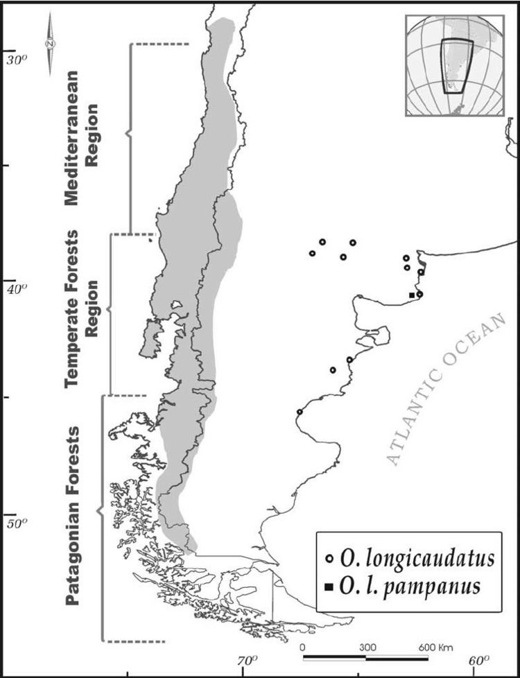 Oligoryzomys longicaudatus Map of the distribution of Oligoryzomys longicaudatus in Figure