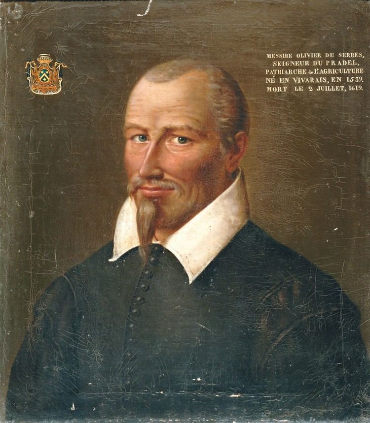 Olivier de Serres FileOlivier de Serresjpg Wikimedia Commons