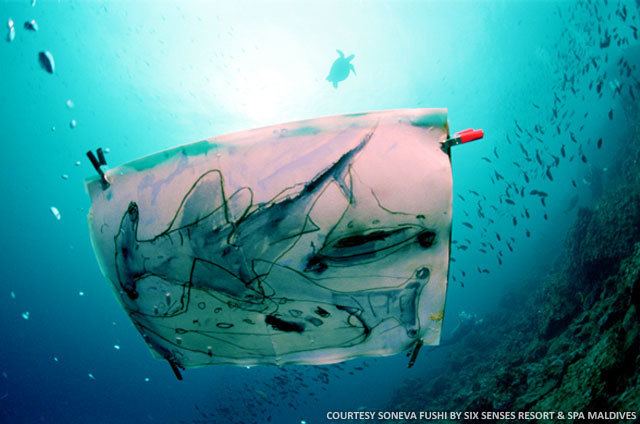 Olly and Suzi Soneva Fushi Hosts Conservationists Olly and Suzi Maldives Insider