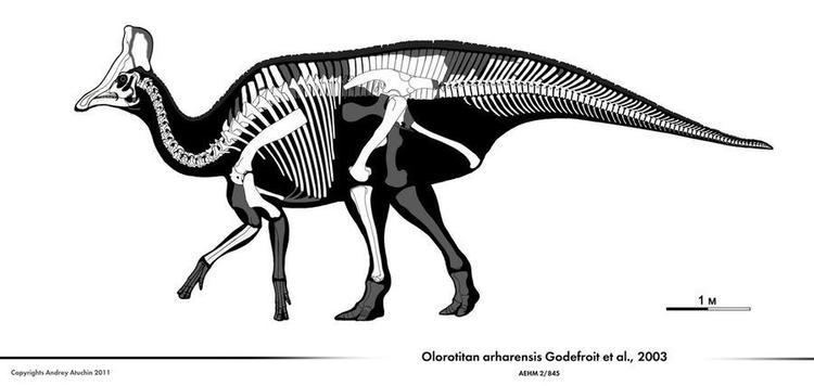 Olorotitan Olorotitan by Olorotitan on DeviantArt