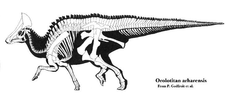 Olorotitan Olorotitan Pictures amp Facts The Dinosaur Database