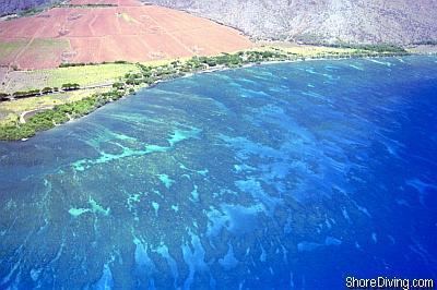 Olowalu, Hawaii Scuba Shore Diving Site Page for Olowalu of Maui Hawaiian Islands