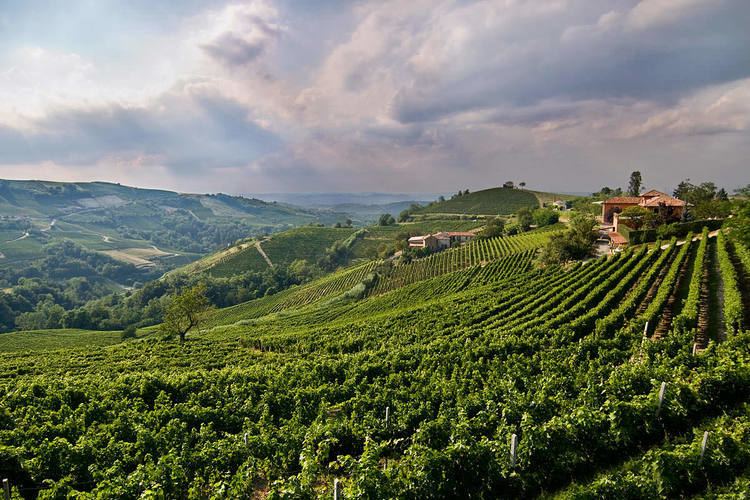 Oltrepò Pavese Oltrep pavese 1000 anni di tradizione al servizio del vino d