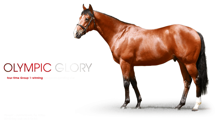 Olympic Glory Olympic Glory IRE Arrowfield Stud a world class thoroughbred