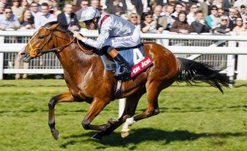 Olympic Glory Olympic Glory to stand at Haras de Bouquetot UK Bloodstock News