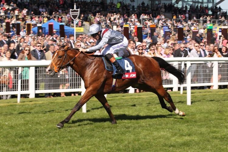 Olympic Glory Olympic Glory wins The Greenham Stakes Peter amp Ross Doyle Bloodstock