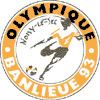 Olympique Noisy-le-Sec httpsuploadwikimediaorgwikipediaen551Noi
