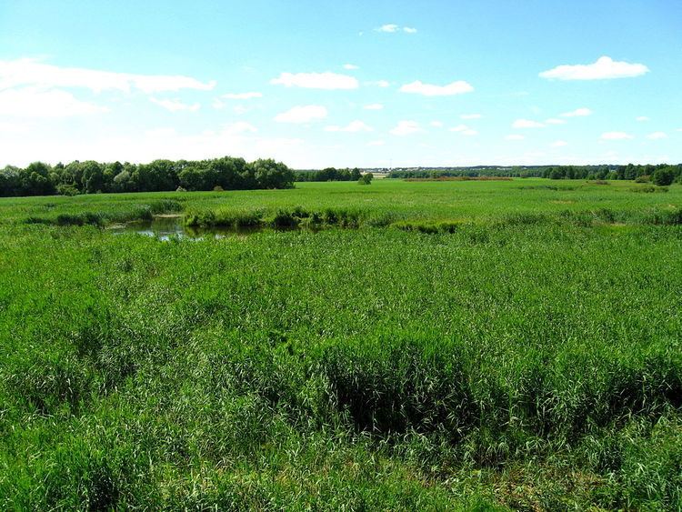 Łomża Landscape Park