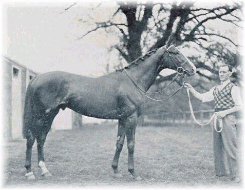 Omaha (horse) Omaha 1935 Triple Crown Winner