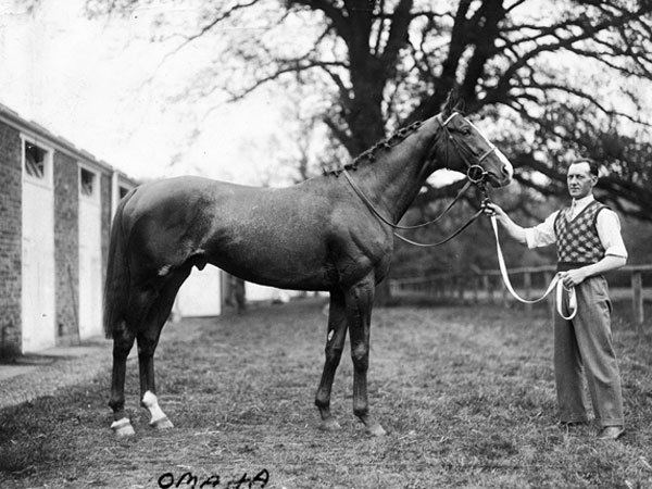 Omaha (horse) Omaha EQUINE Ink