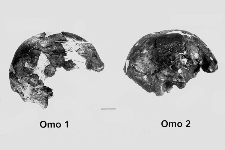 Omo remains Homo Sapiens Child of the Ice Age