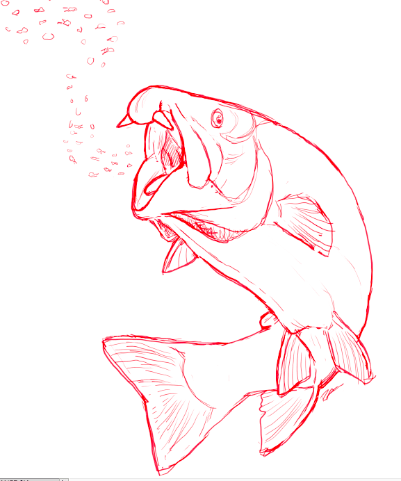 Oncorhynchus rastrosus SquidPope on Twitter quotSketched a quotsaber toothed salmon