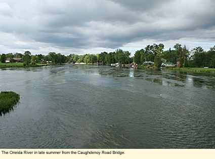 Oneida River wwwilovethefingerlakescomriversimagesOneida1