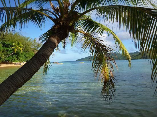 Ono Island (Fiji) httpsmediacdntripadvisorcommediaphotos01