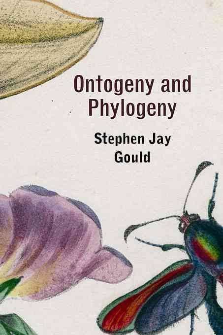 Ontogeny and Phylogeny (book) t2gstaticcomimagesqtbnANd9GcR2weaz4Cg4dfZwOq