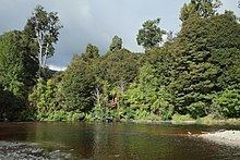 Oparara River httpsuploadwikimediaorgwikipediacommonsthu