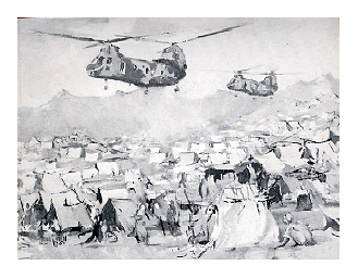Operation Provide Comfort Humanitarian Operations in Northern Iraq 1991 With Marines in