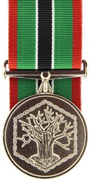 Operational Medal for Southern Africa