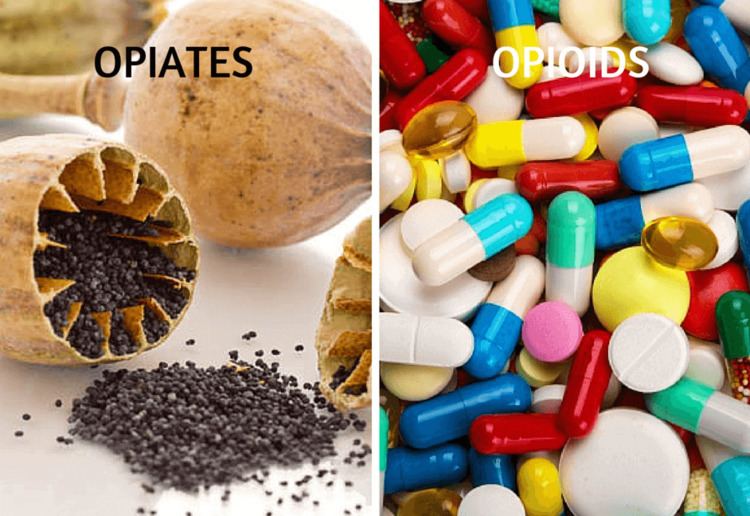 Opiate What39s The Difference Between Opiates and Opioids Rehab