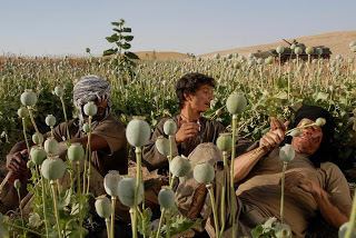 Opium War (2008 film) Deedenow Cinema Production Afghanistan What happened to Opium War