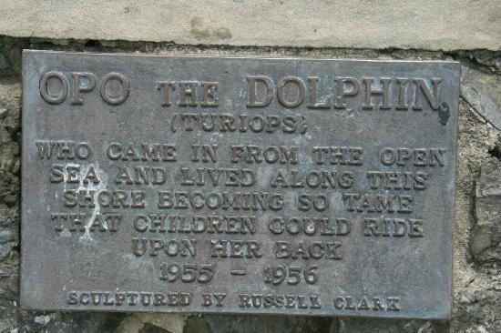 Opo (dolphin) Opo the Dolphin Statue Opononi New Zealand Top Tips Before You