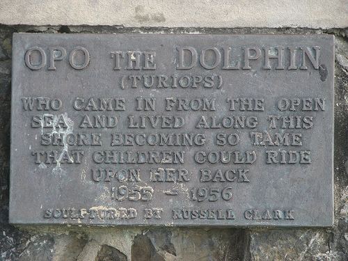 Opo (dolphin) Flickriver Photoset 39Opo the Dolphin Memorial in Opononi New