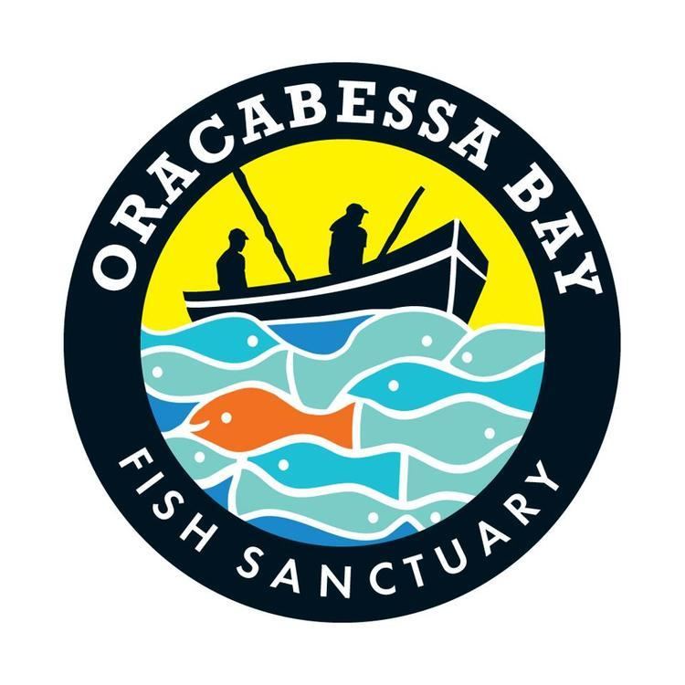 Oracabessa Bay Fish Sanctuary