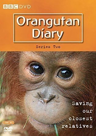 Orangutan Diary Orangutan Diaries Series 2 DVD Amazoncouk DVD amp Bluray