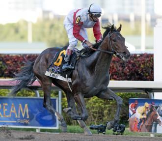 Orb (horse) Florida Derby Orb pulls away from Itsmyluckyday Daily Racing Form