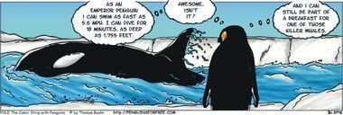 Orca (comics) POLE The Comic Strip With Penguins orka