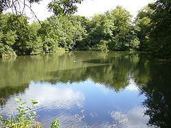 Orchardleigh Lake httpsuploadwikimediaorgwikipediacommonsthu