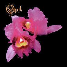 Orchid (album) httpsuploadwikimediaorgwikipediaenthumba