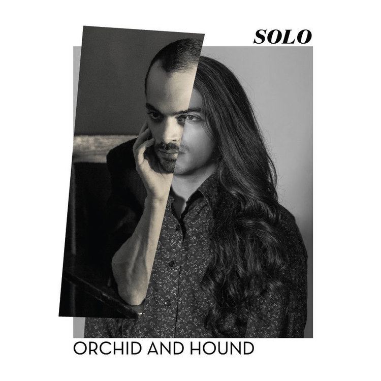 Orchid and Hound wwworchidandhoundcomwpcontentuploads201503