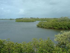 Orchid Island (Florida) httpsuploadwikimediaorgwikipediacommonsthu