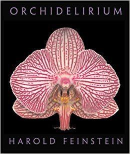 Orchidelirium Orchidelirium Harold Feinstein Robert H Hesse 9780821262054
