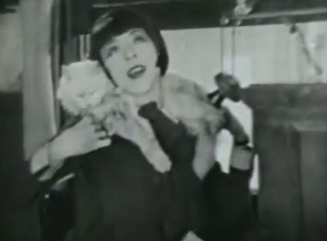 Orchids and Ermine Orchids and Ermine 1927 Cinema Cats