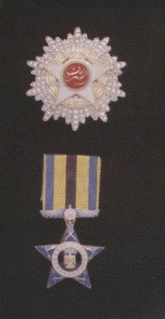 Order of Honor Star