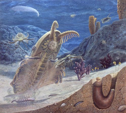 Ordovician–Silurian extinction events List Nation The Five Major Extinctions of Earth