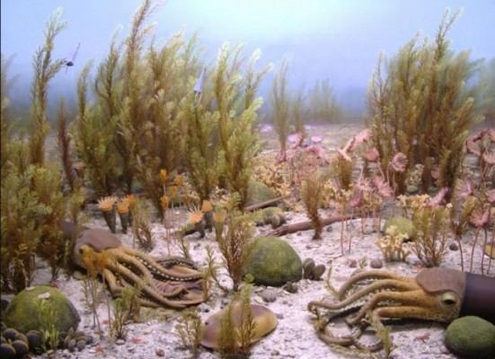 Ordovician–Silurian extinction events Is it time we start saying the E word The Greanville Post