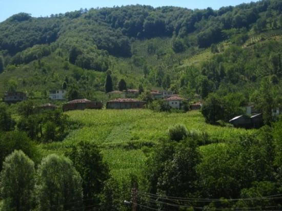 Ordu Province Beautiful Landscapes of Ordu Province