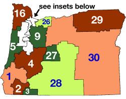 Oregon legislative election, 2008